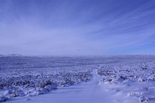 40 AC River Ranch - Photo 1