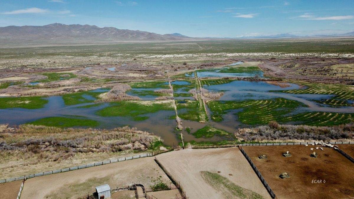 2500 Flying M Ranch Road Road - Photo 1