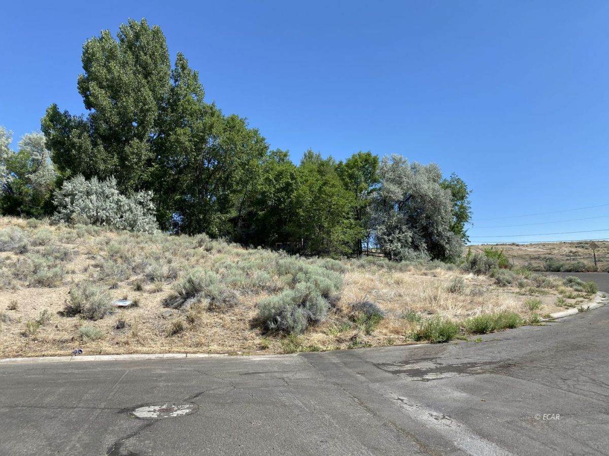 301 Skyline Drive - Photo 1