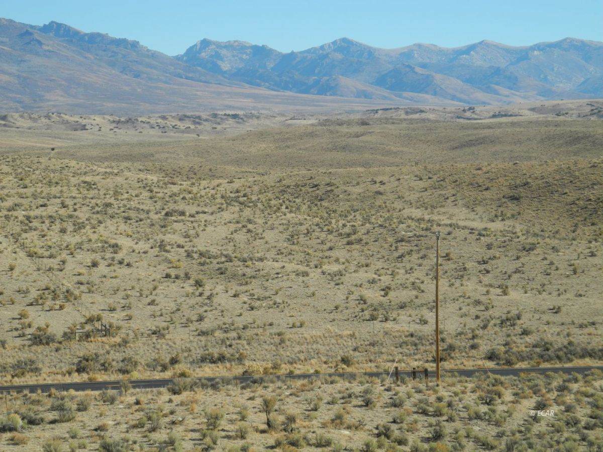Sr228 Jiggs Hwy Highway - Photo 1