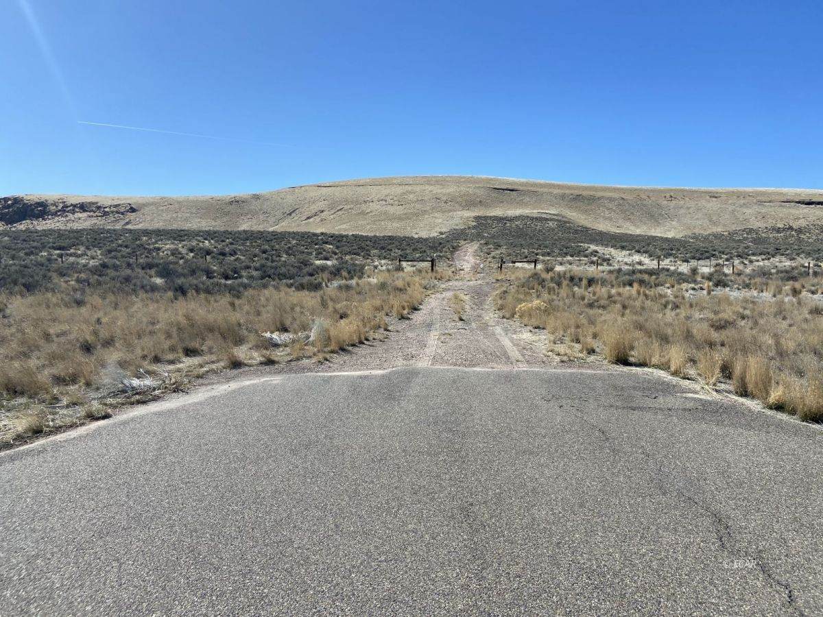 Highway 93 Highway - Photo 1