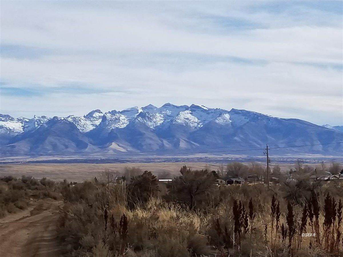 Jarbidge Avenue - Photo 1