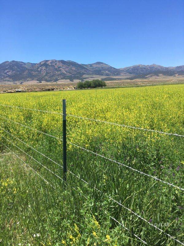 9870 East Tippett Road - Photo 1