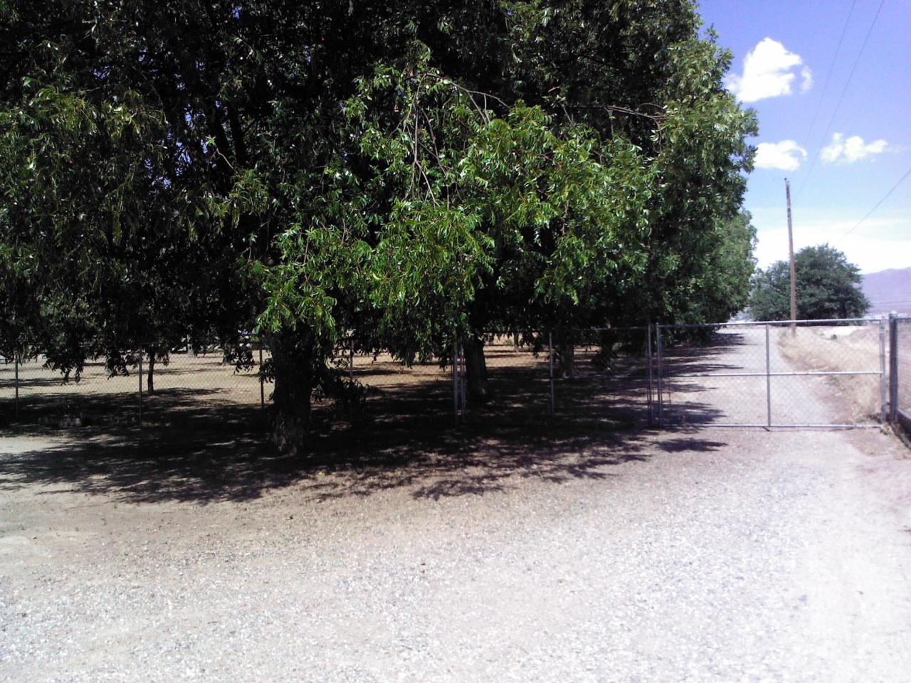 9155 Westside Road - Photo 1