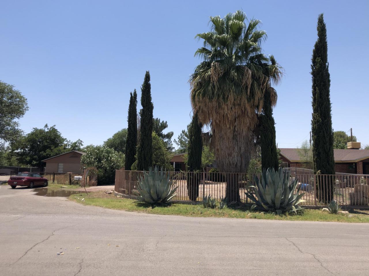 10480 El Cid Drive - Photo 1