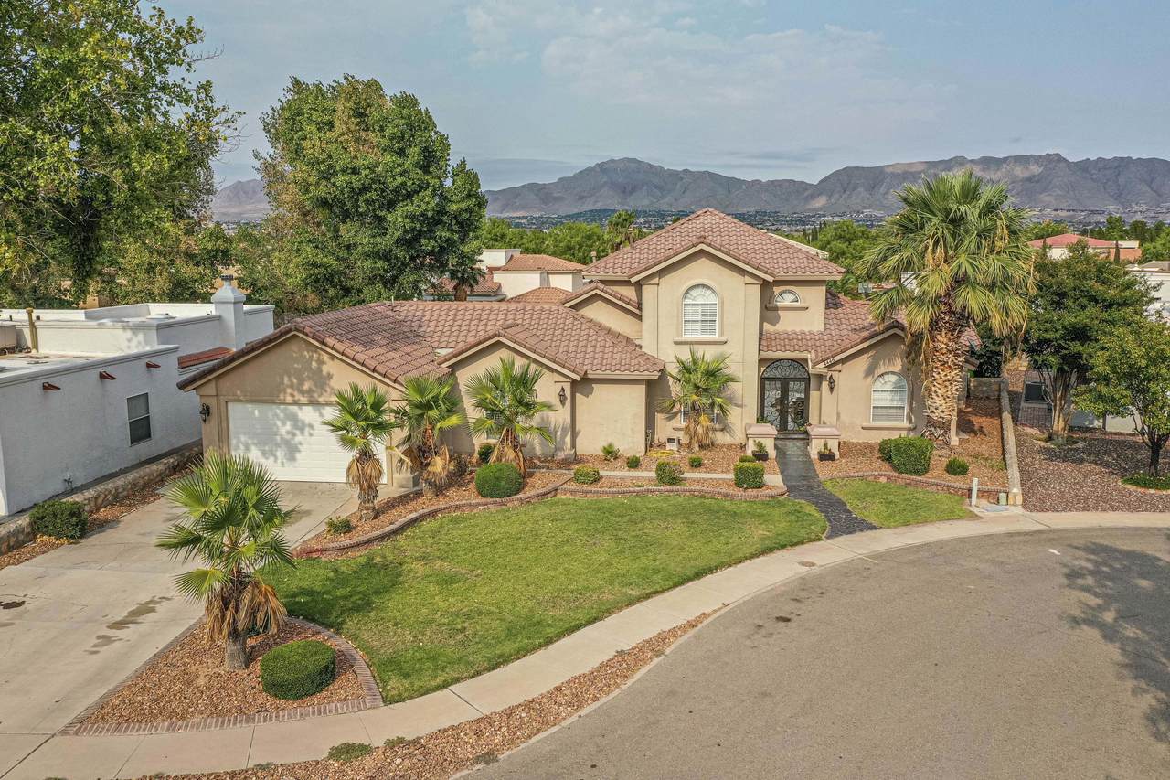 4446 Shadow Willow Drive - Photo 1