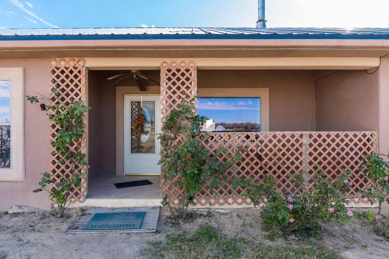 202 Hallas Road - Photo 1