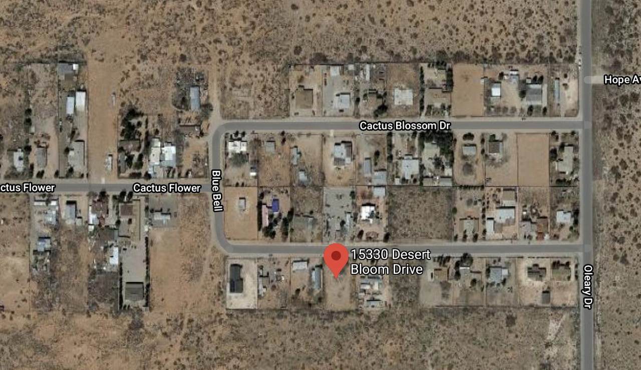 15330 Desert Bloom Drive - Photo 1