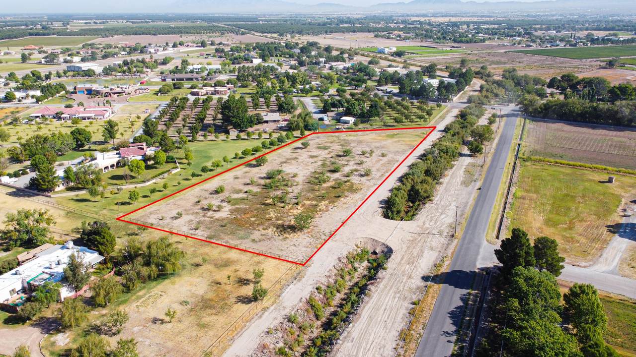6825 Gato Road - Photo 1
