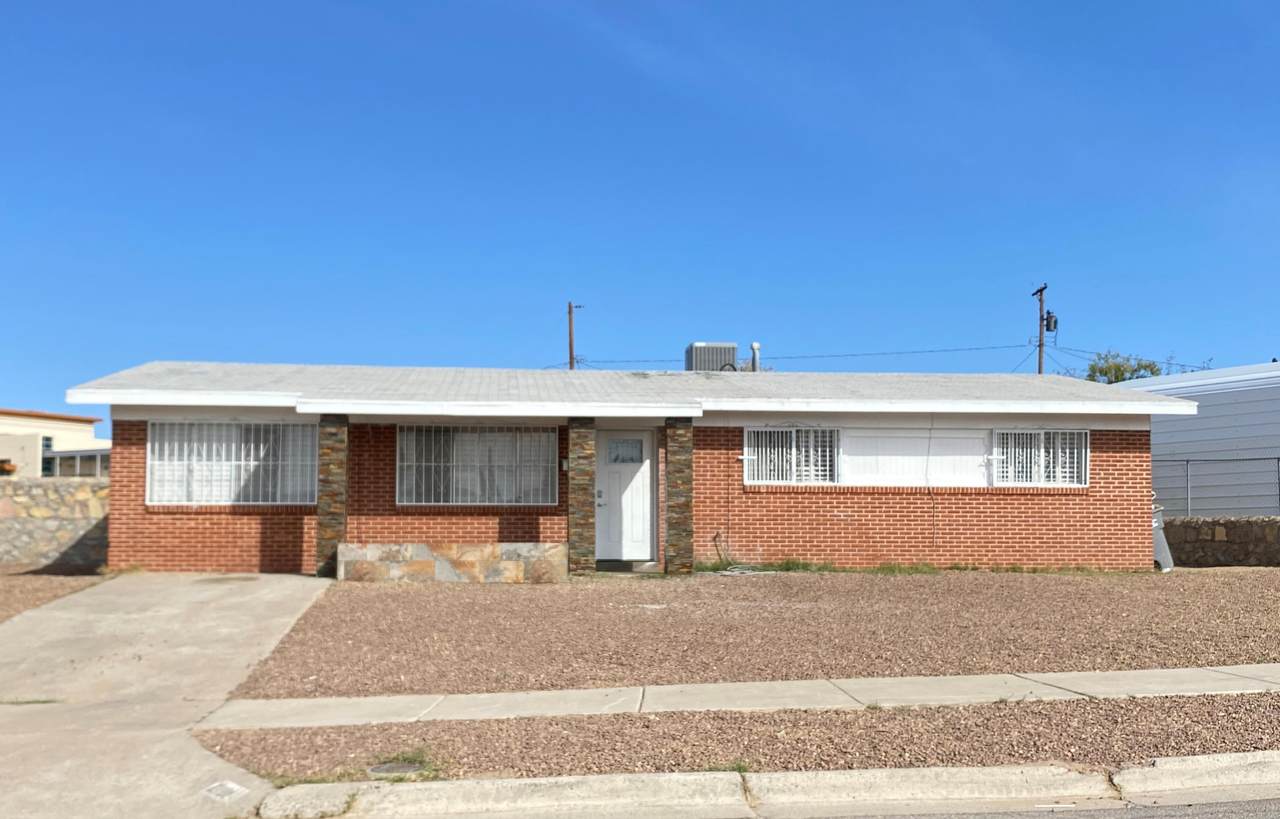 10101 Chinaberry Drive - Photo 1