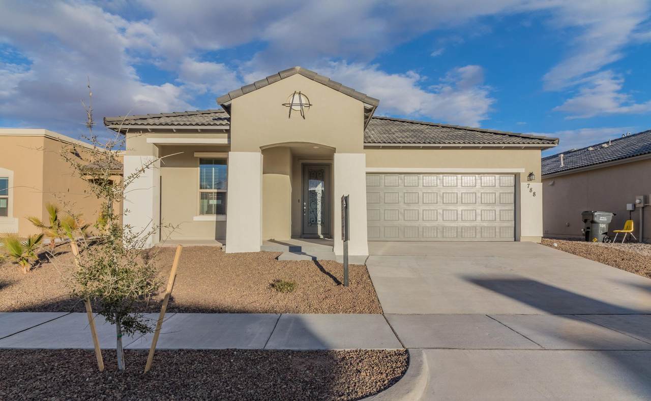 12249 Desert Dove - Photo 1