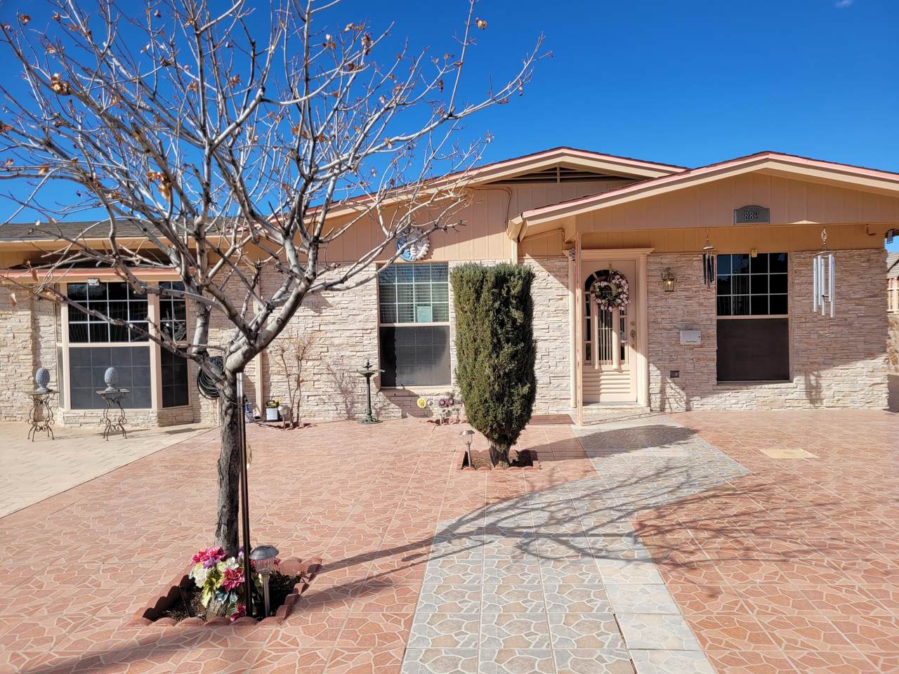 882 Mont Blanc Drive - Photo 1