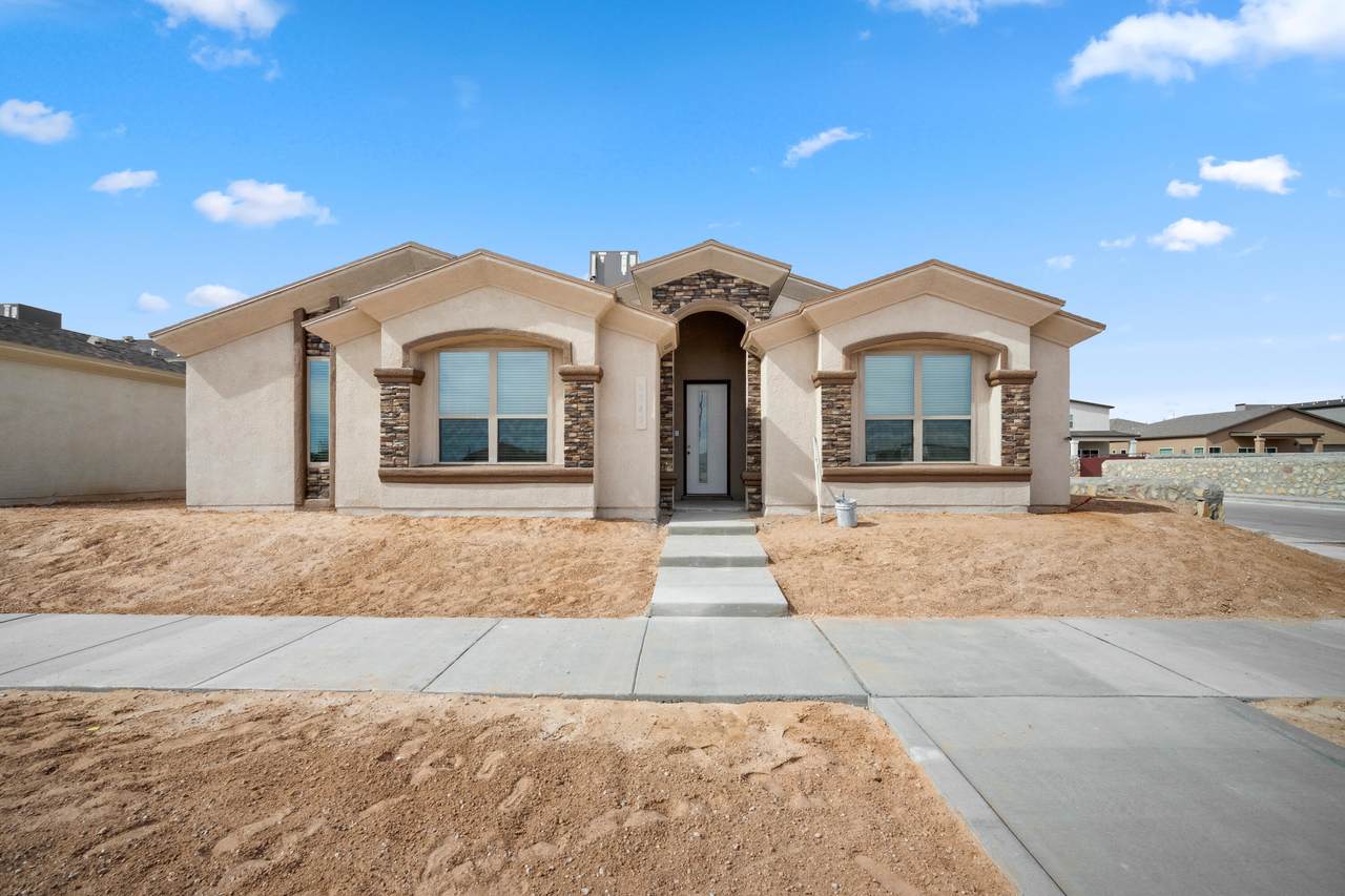 14936 Pebble Hills Boulevard - Photo 1