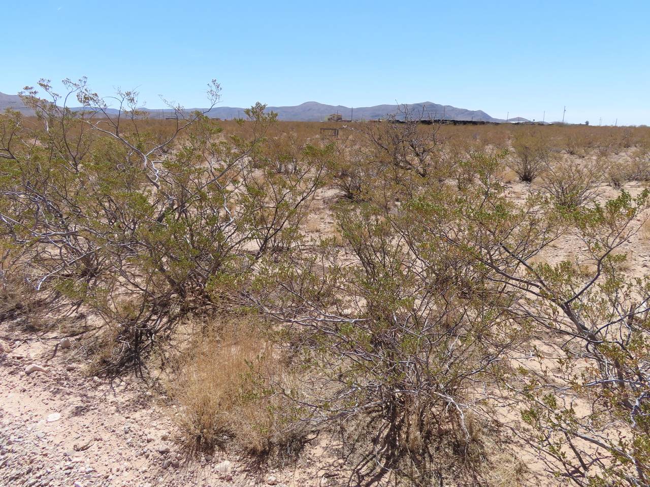 TBD Shifrin Avenue - Photo 1
