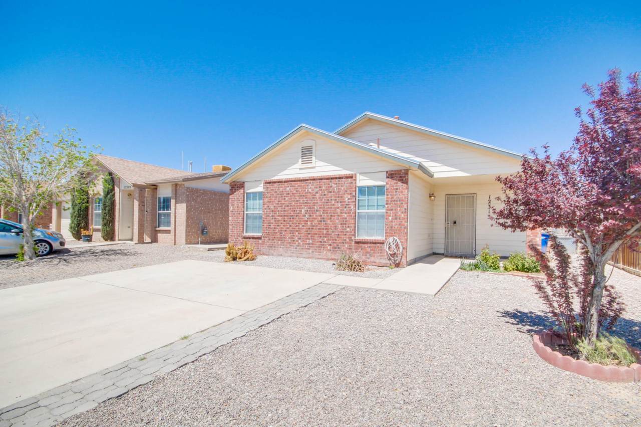 12313 Tierra Plata Drive - Photo 1
