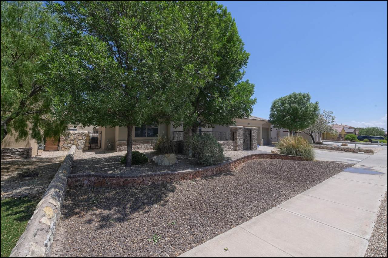 5644 Valley Cedar Drive - Photo 1