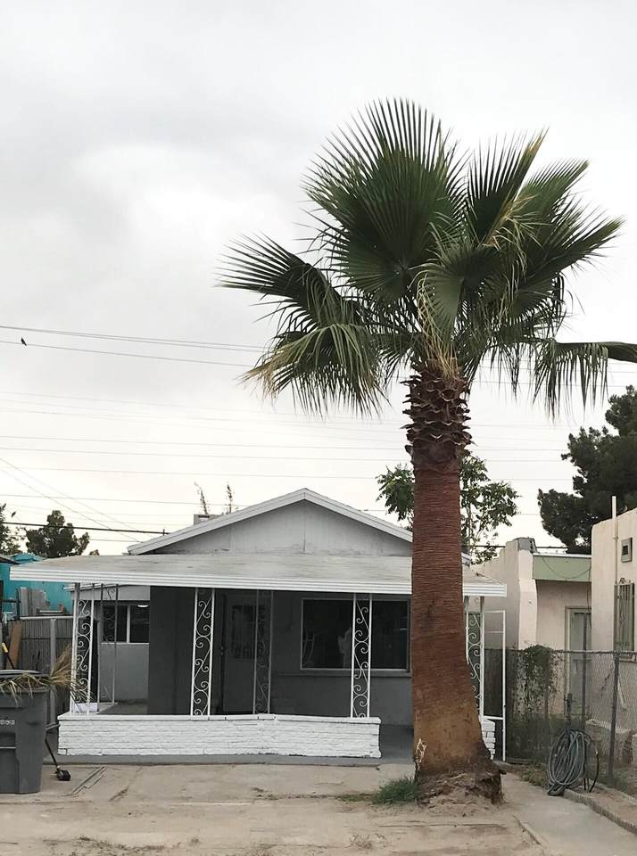 3320 Pera Avenue - Photo 1