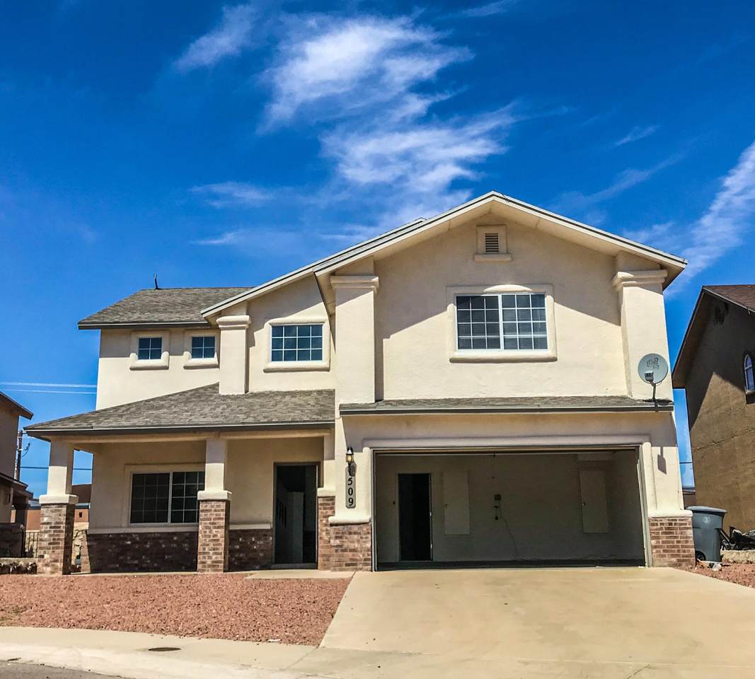 1509 Aloe Vera Lane - Photo 1