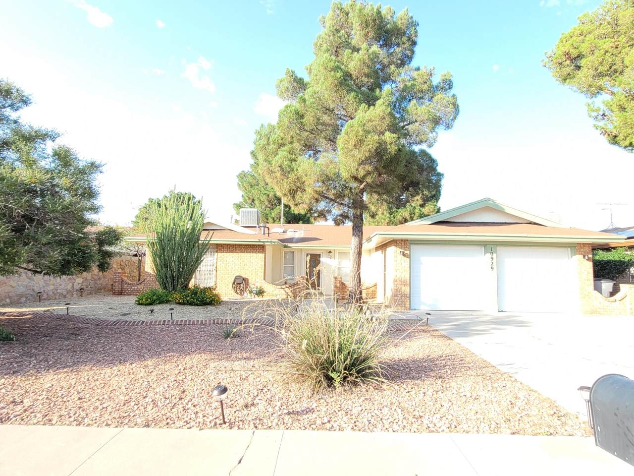 10929 Bob Stone Drive - Photo 1
