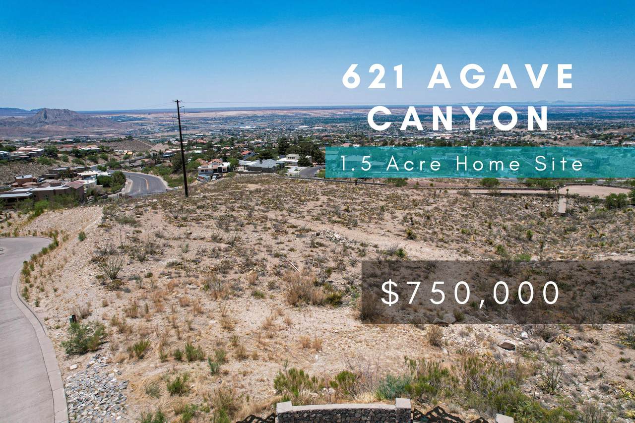 621 Agave Canyon Court - Photo 1