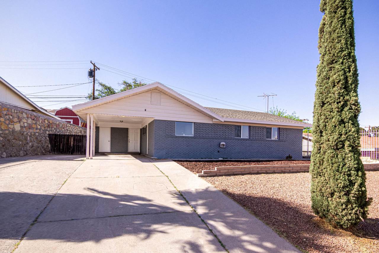 9817 Everwood Street - Photo 1