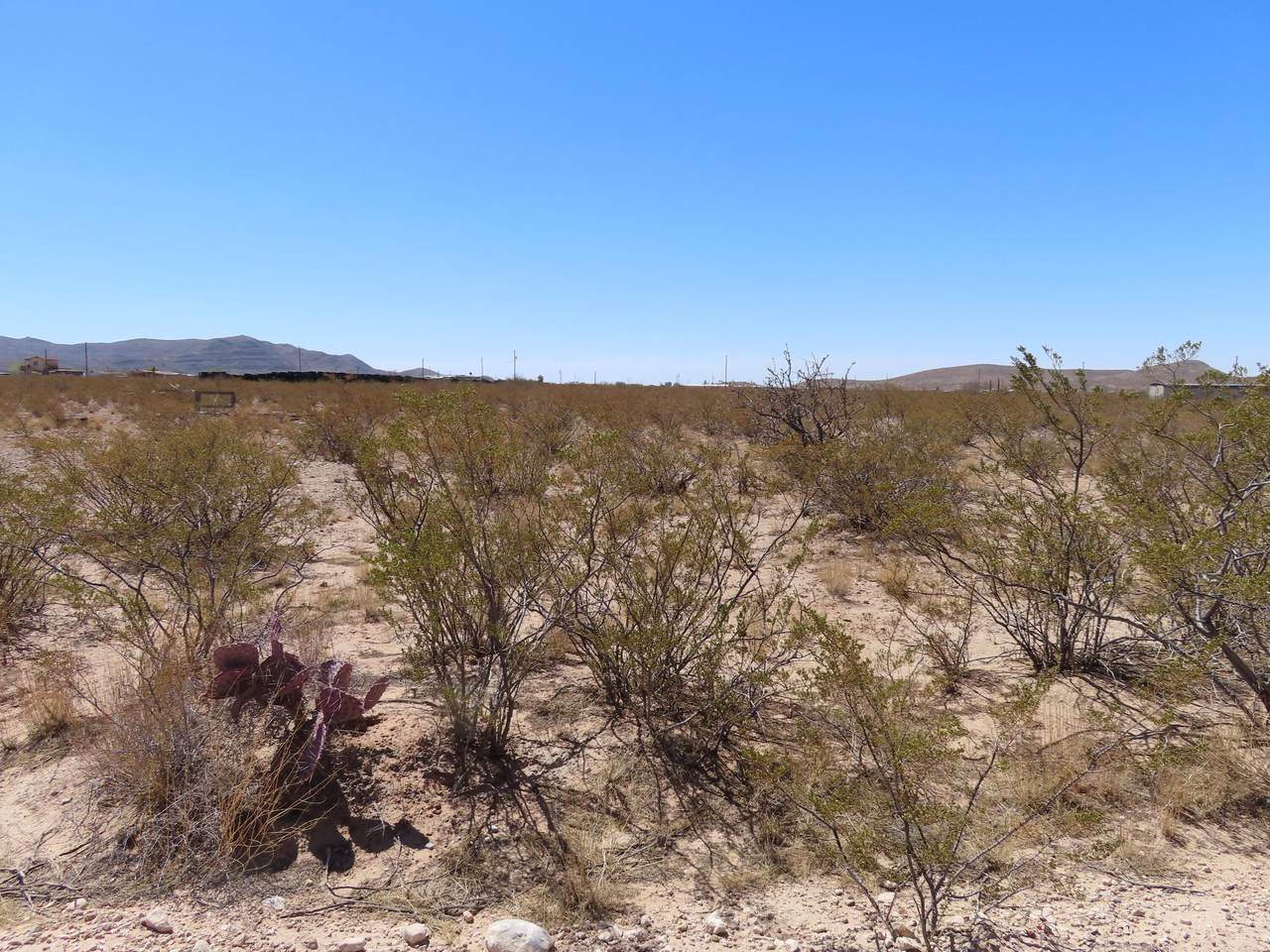 TBD Shifrin Ave Avenue - Photo 1