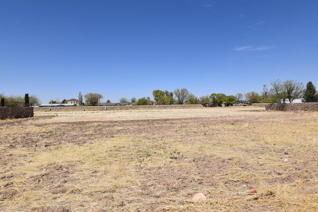 1049 Maximo Drive - Photo 1