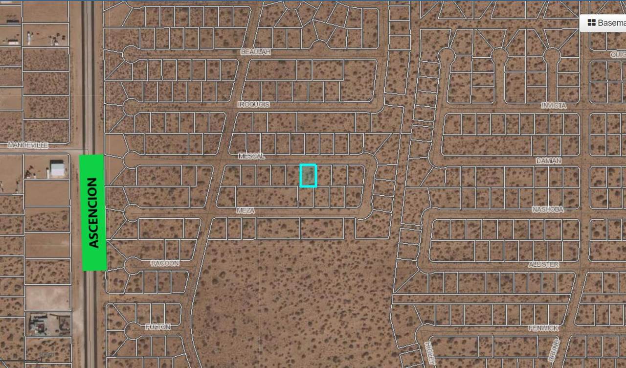 5 Jackrabbit Avenue - Photo 1