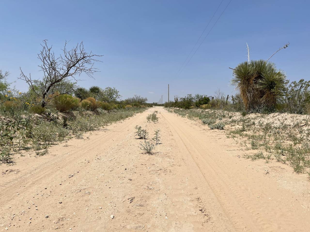 11 Sec 24 Psl 42 Acres - Photo 1