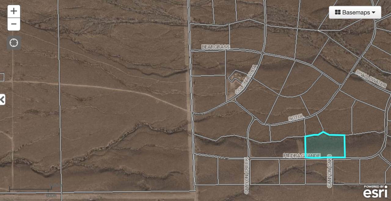 13 Colonia Vista - Photo 1