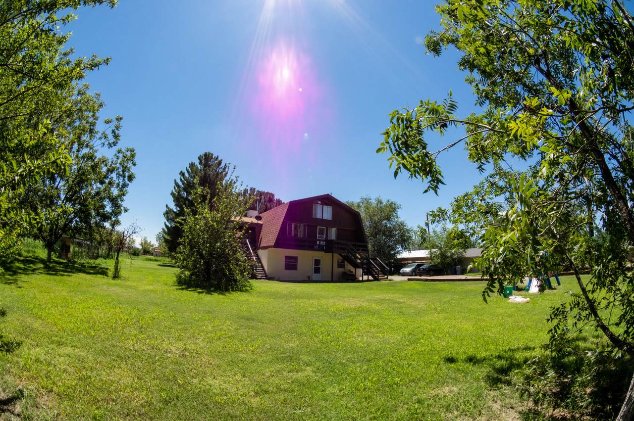 850 Gomez Road - Photo 1