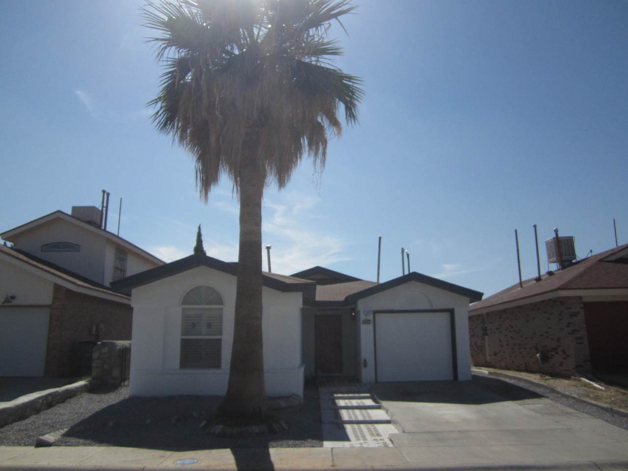 9132 Lacebark Elm Drive - Photo 1