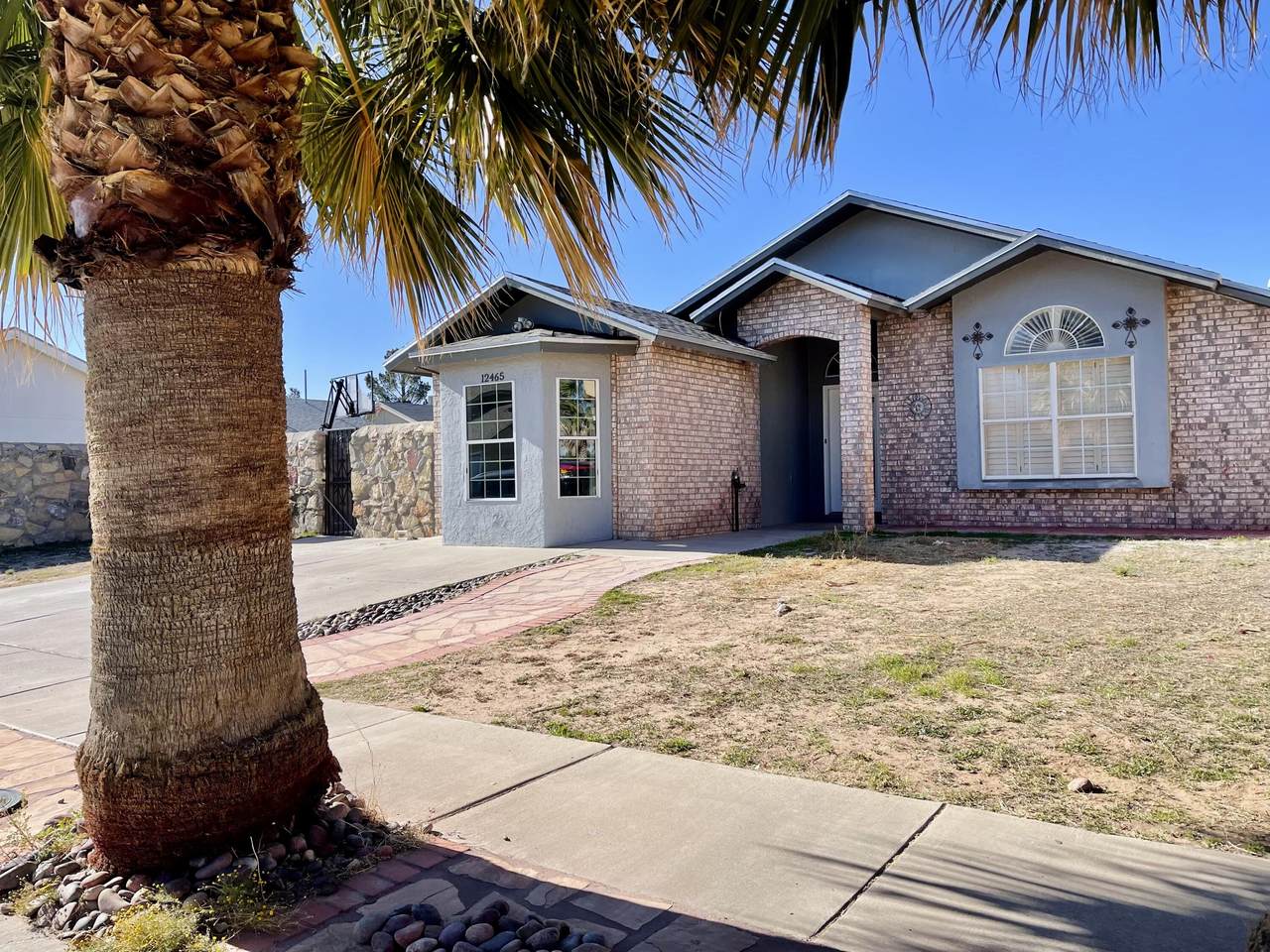 12465 Tierra Dulce Drive - Photo 1