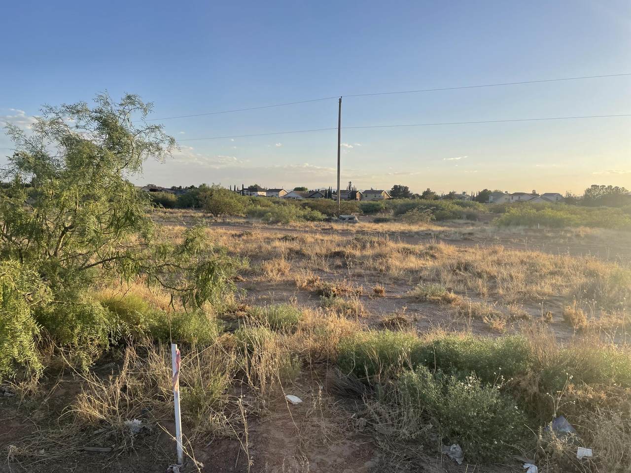 3649 Joe Battle Boulevard - Photo 1