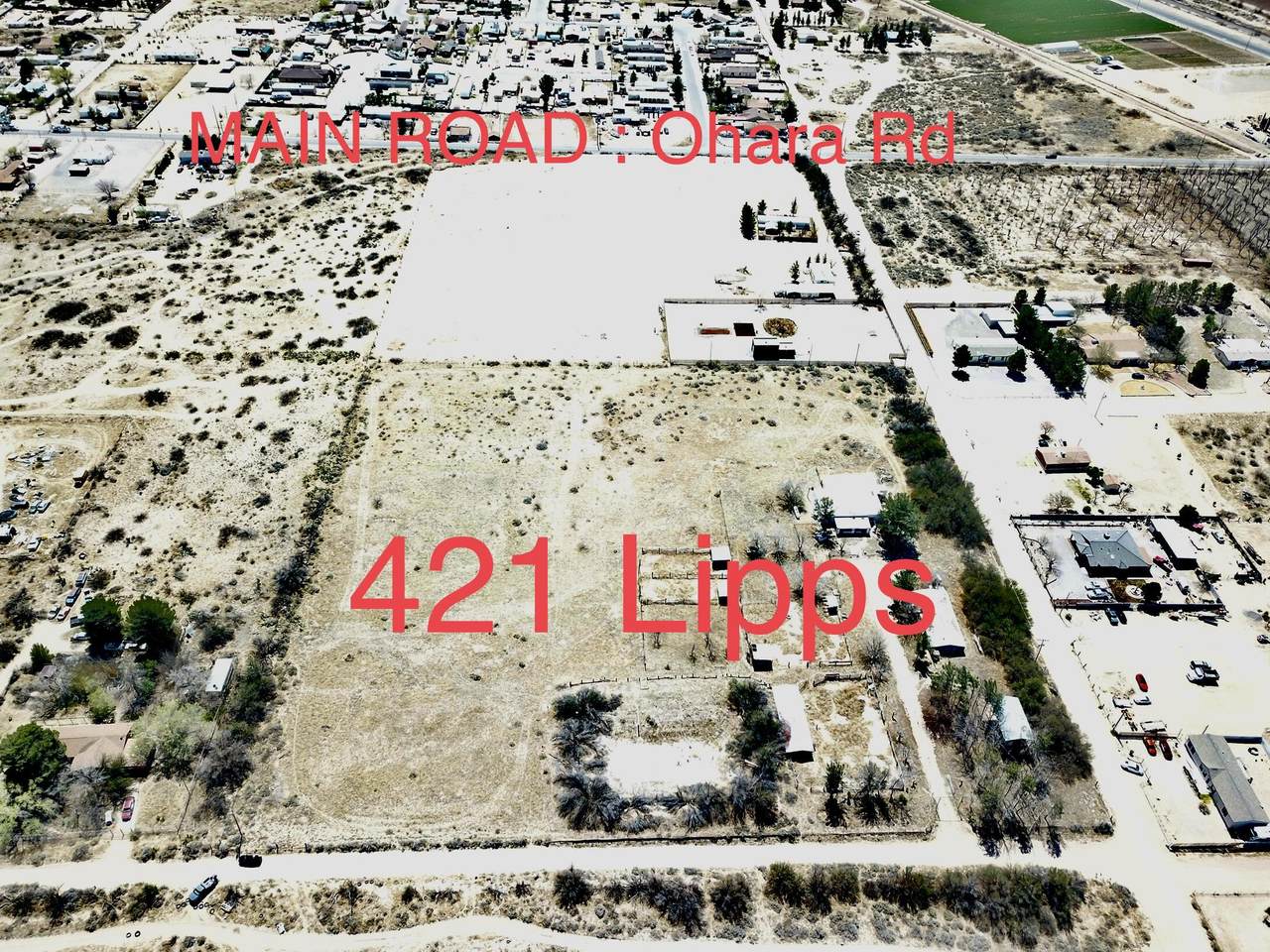 421 Lipps (Land Only) - Photo 1