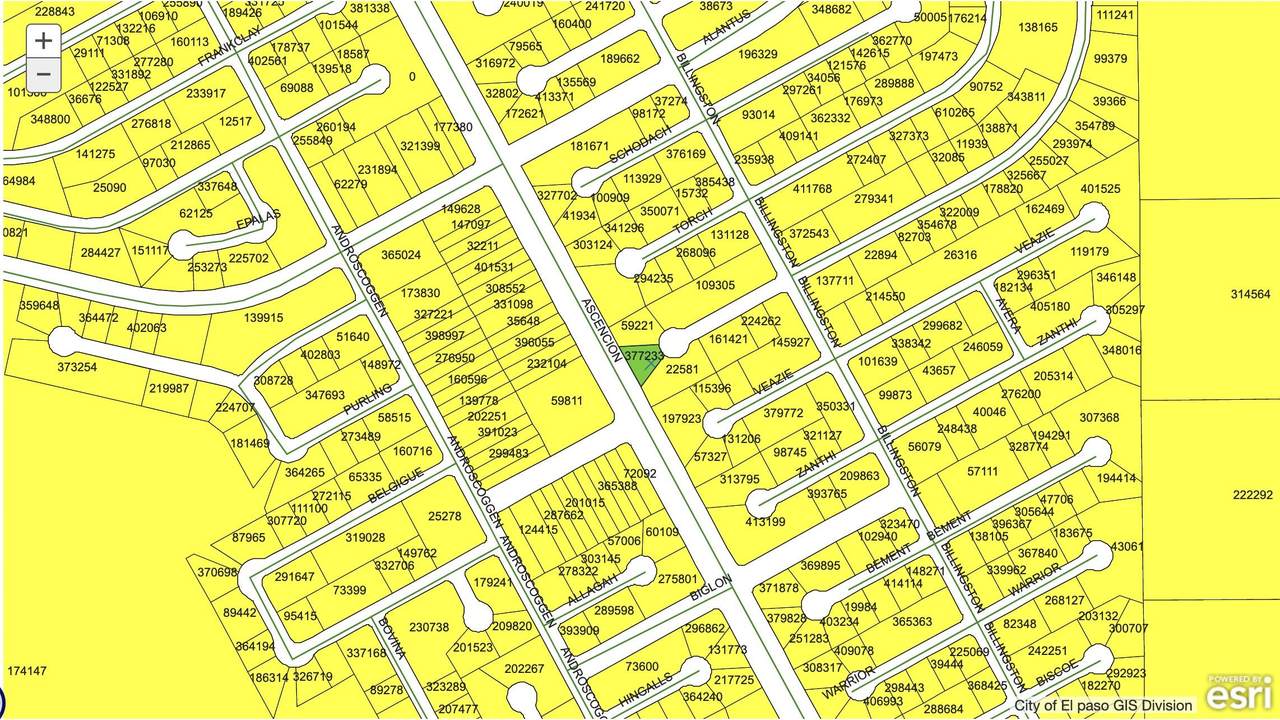 TBD Horizon City Estates #41 Lot 7 - Photo 1