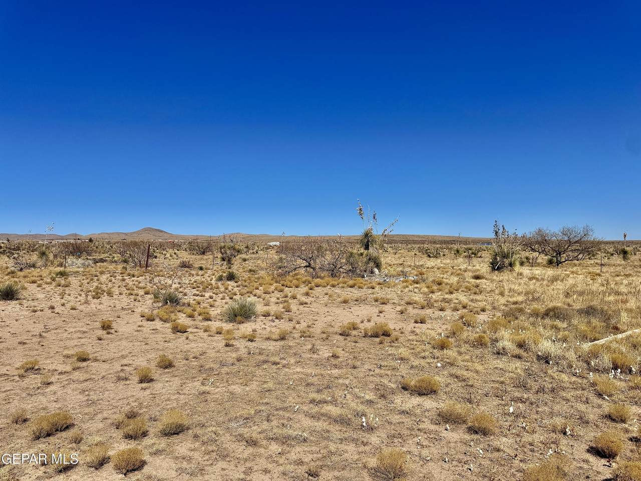 https://bt-photos.global.ssl.fastly.net/elpaso/1280_boomver_1_918965-2.jpg