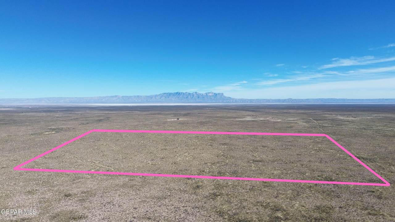 13 Francis Road - Photo 1