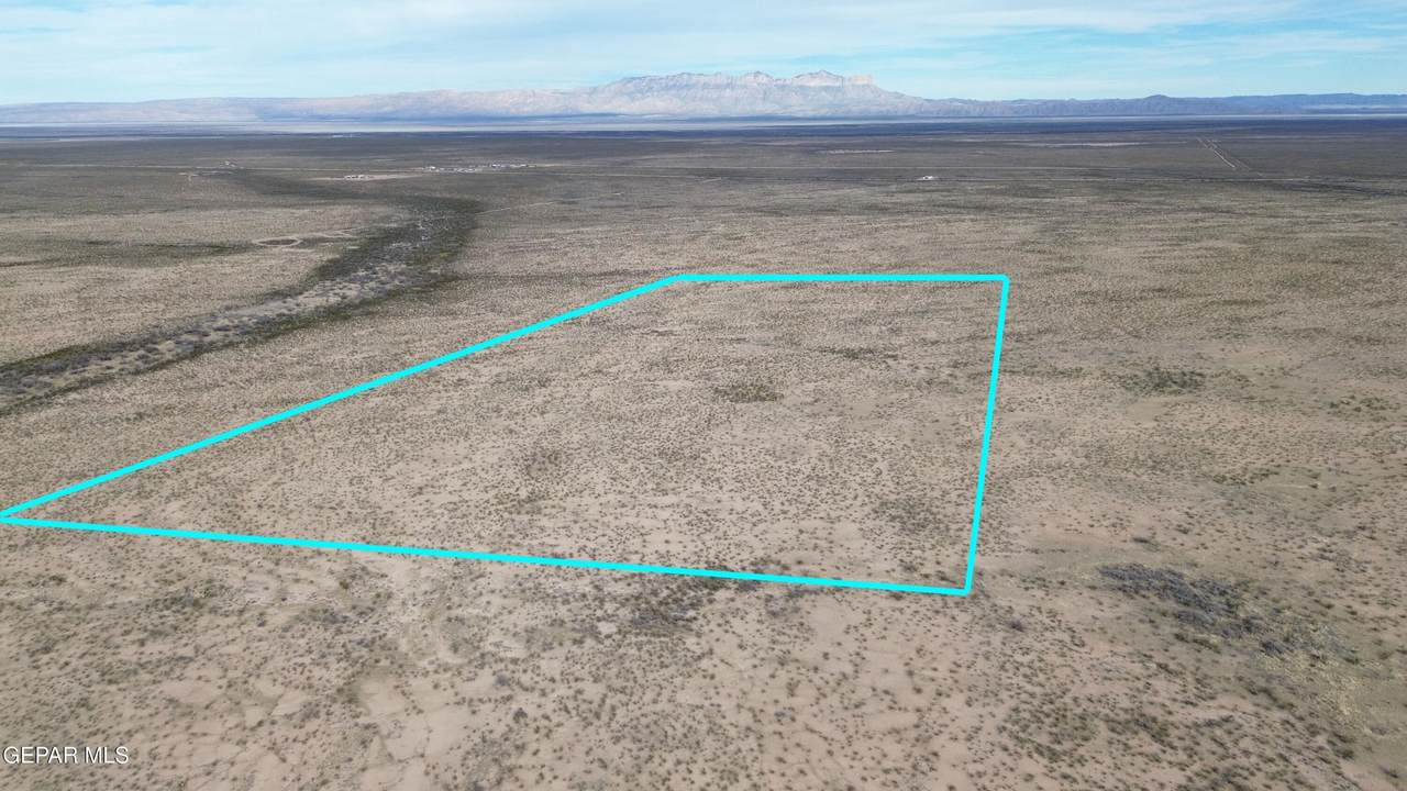 32769 Fm 1437 Highway - Photo 1