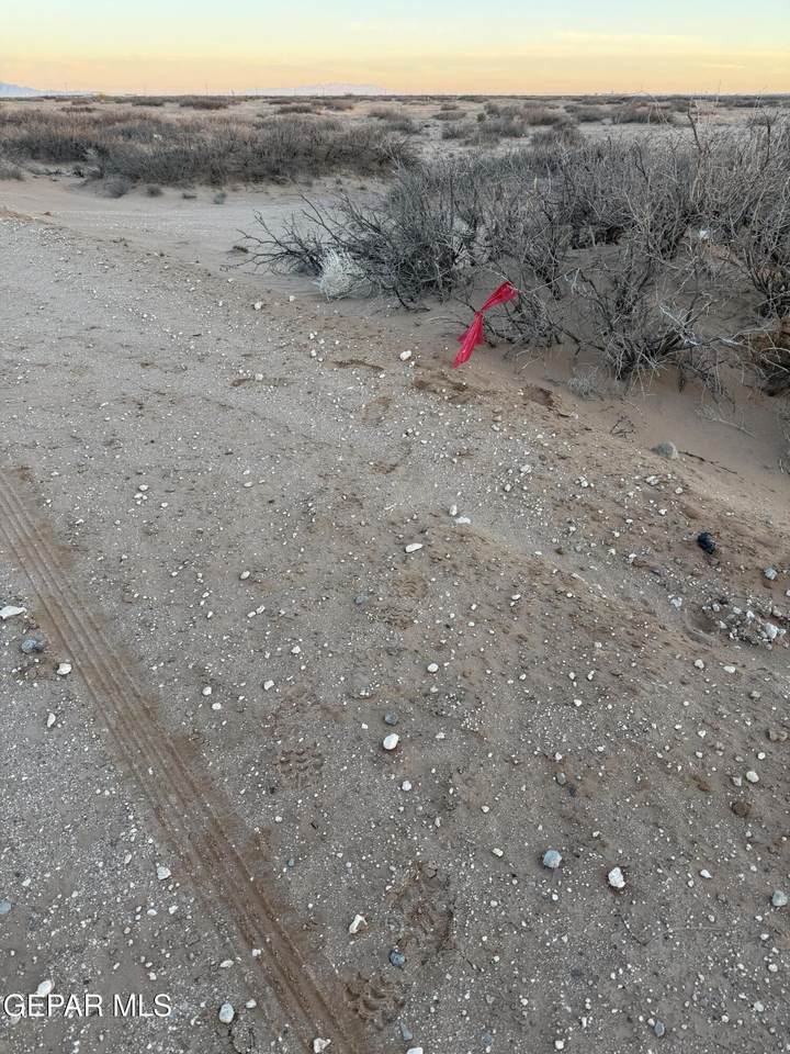 PN225064 Vanceboro Drive - Photo 1