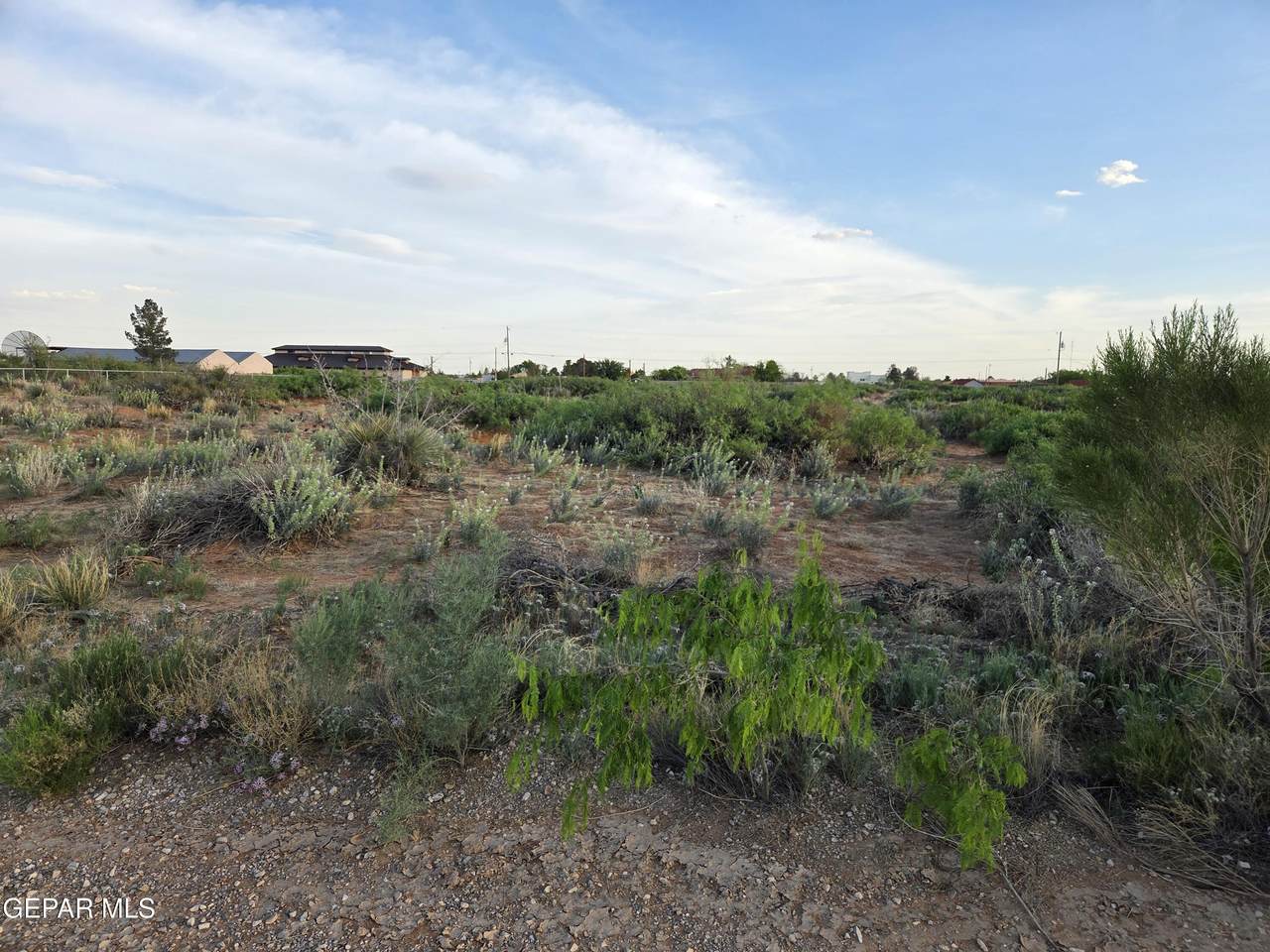 5174 Desert Willow Drive - Photo 1