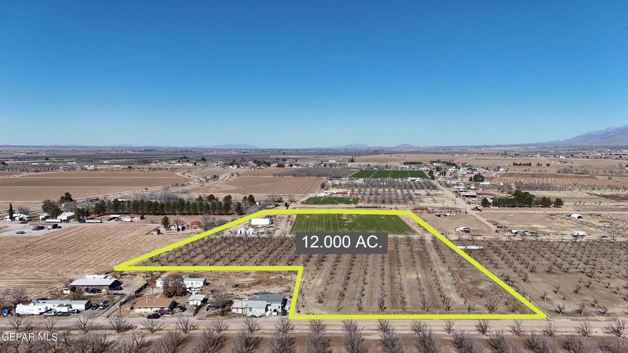 000 Joy Drive - Photo 1