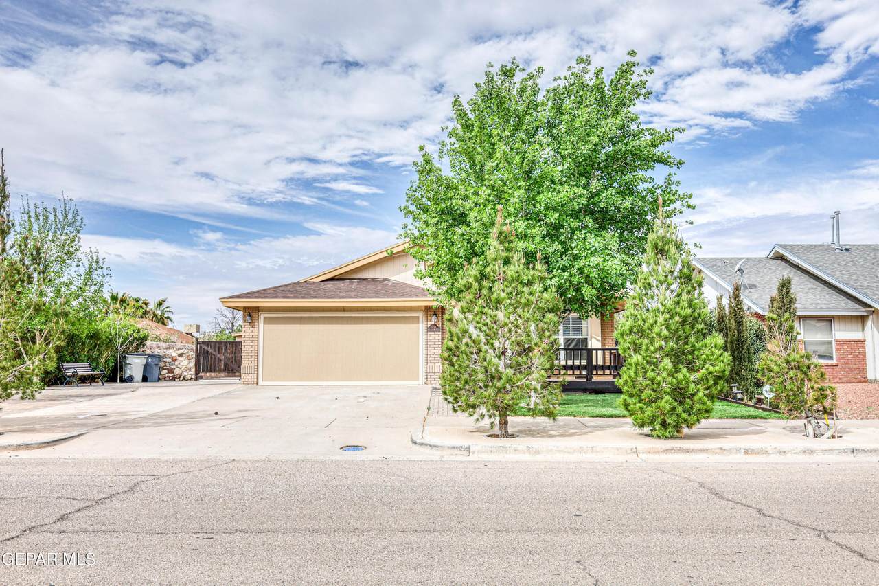5733 Saplinas Road - Photo 1