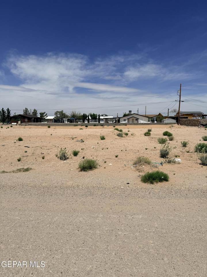15569 Ury Street - Photo 1