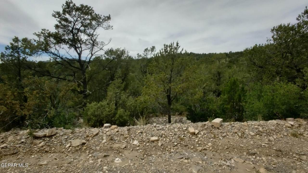60 Canyon Road - Photo 1