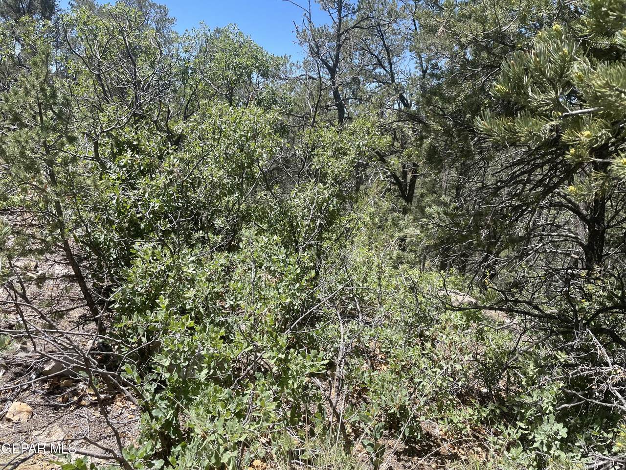 https://bt-photos.global.ssl.fastly.net/elpaso/1280_boomver_1_944140-2.jpg