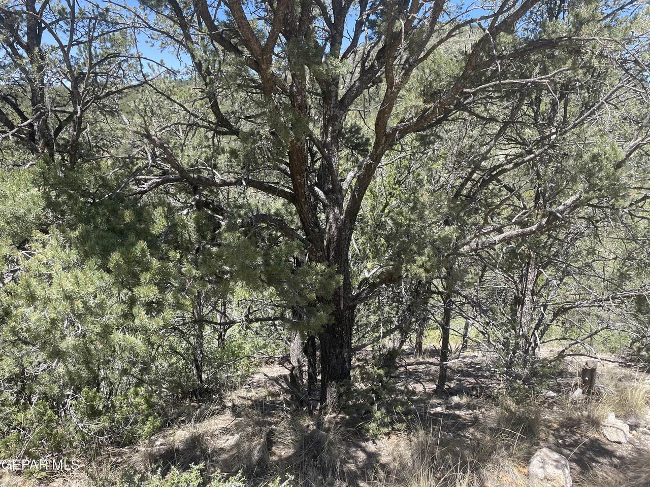https://bt-photos.global.ssl.fastly.net/elpaso/1280_boomver_1_944140-2.jpg