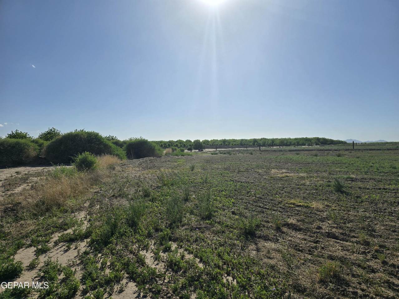 PN-339071 Tbd - Photo 1