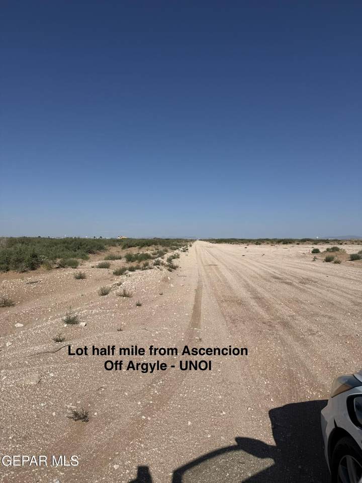 PN119062 Villa Avenue - Photo 1