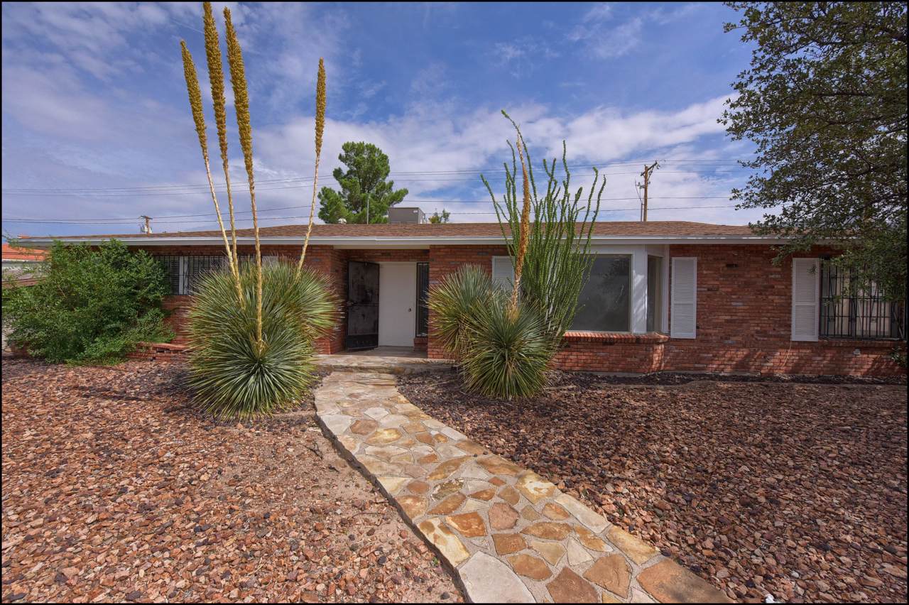 101 Clairemont Road - Photo 1